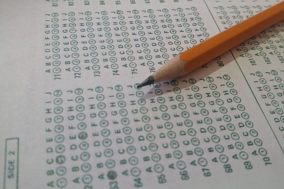 Pencil resting on a multiple-choice answer sheet with numbered bubbles